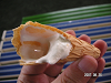 s_PICT0064_thumb.png